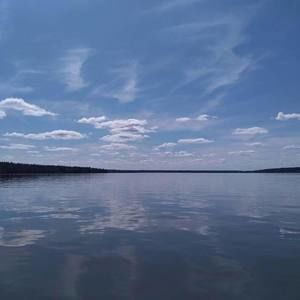 Meet your Posher, Maddy